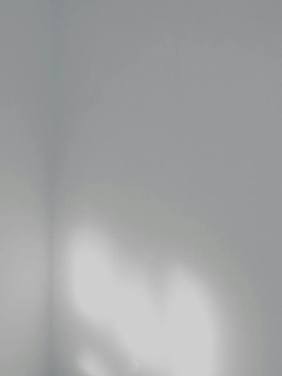 Toilettes aux murs clairs, sanitaire blanc